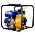 PA20TH EUR5 YÜKSEK BASINÇLI SU MOTORU 2''