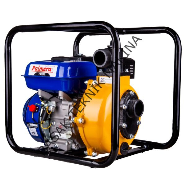PA20TH EUR5 YÜKSEK BASINÇLI SU MOTORU 2''