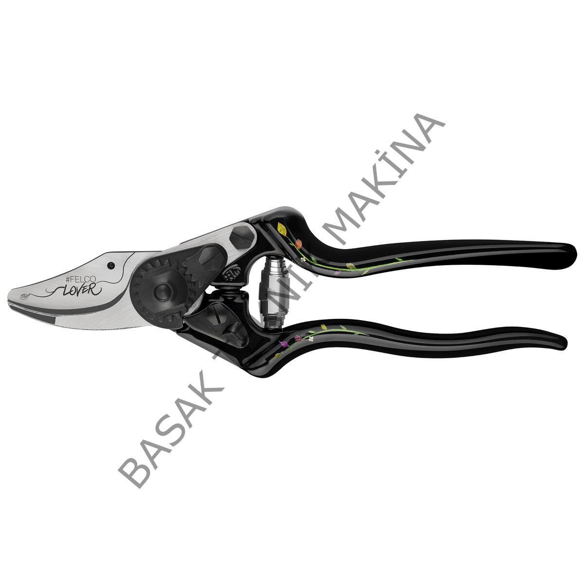 6 Edition BUDAMA MAKASI