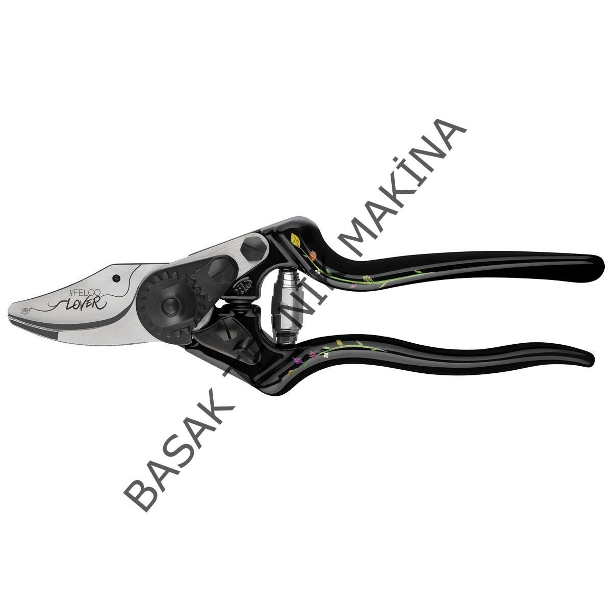 6 Edition BUDAMA MAKASI