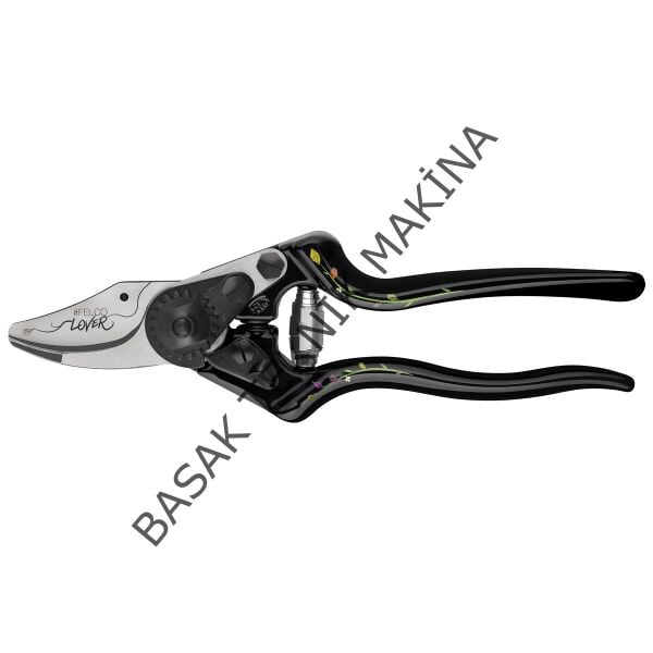 6 Edition BUDAMA MAKASI