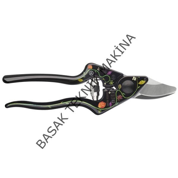 6 Edition BUDAMA MAKASI