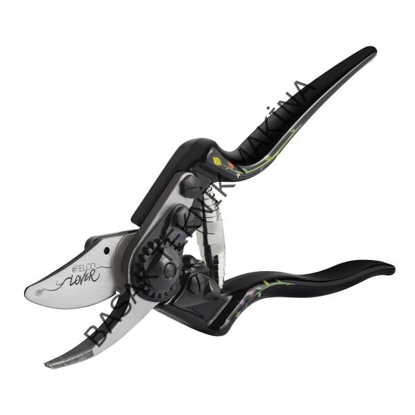 6 Edition BUDAMA MAKASI