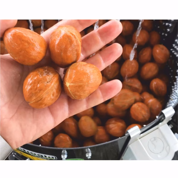 Kadıoğlu CKS80D 80 Litre Hassas Devir Ayarlı Rendeli Tip Ceviz Soyma Makinesi